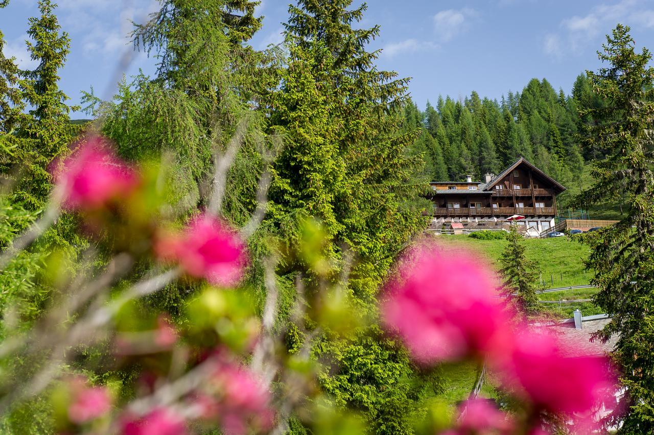 Hotel Sattleggers Alpenhof & Feriensternwarte Greifenburg Exterior foto